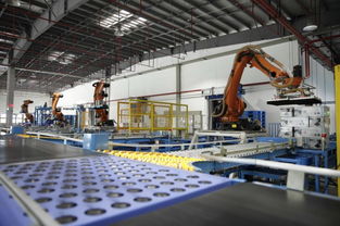 高中畢業(yè)生選專業(yè)指南 在中國做什么更有前景